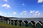 Gurnard on the Coastal Path